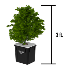 Load image into Gallery viewer, Under Current ® Double Barrel Recirculating Deep Water Culture (RDWC) Hydroponic System, 4-Row
