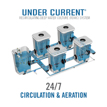 Load image into Gallery viewer, Under Current ® Double Barrel Recirculating Deep Water Culture (RDWC) Hydroponic System, 4-Row
